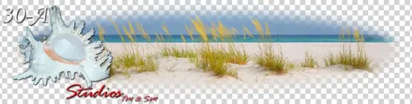 Established - 30-a Studios