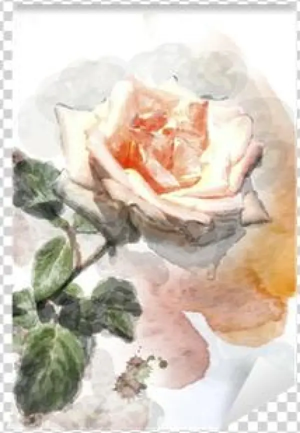 Evsimo Dekoratif Yastık 40x40 Cm - (452-13083)