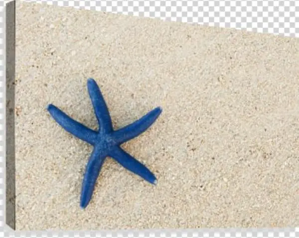 Fiji, Viti Levu Island, Blue Sea Star On Beach At Shangri-la - Great Big Canvas Greg Vaughn Poster Print Entitled
