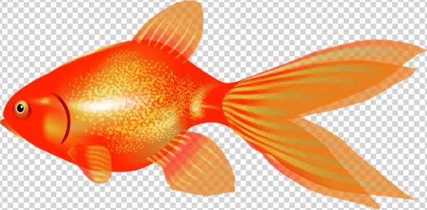 Free Png Goldfish Png Images Transparent - Portable Network Graphics