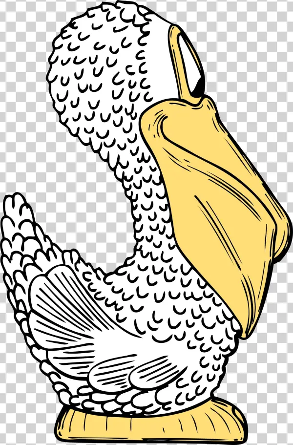 Free Vector Pelican Side View Clip Art
