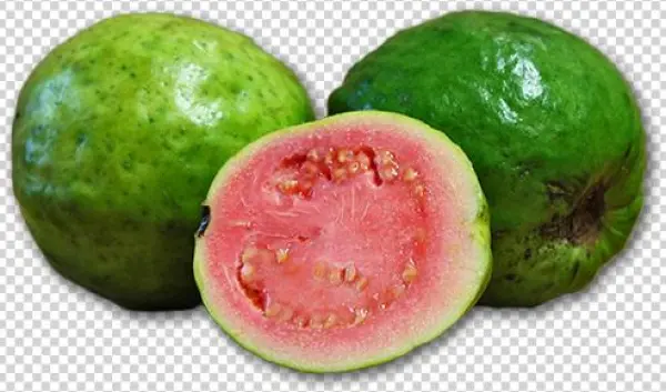 Guava - Product