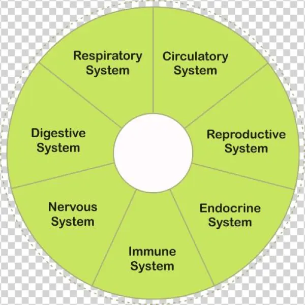 Health Benefits - Ontario Ginseng Growers Assn