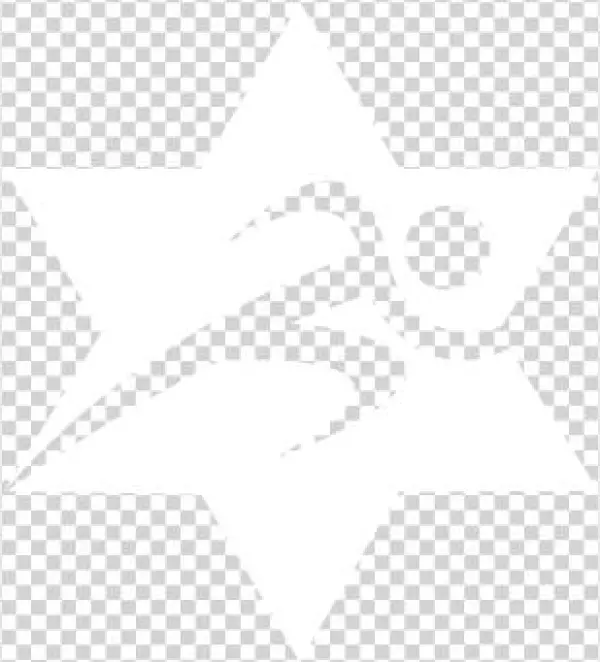 Jcc Maccabi - Emblem