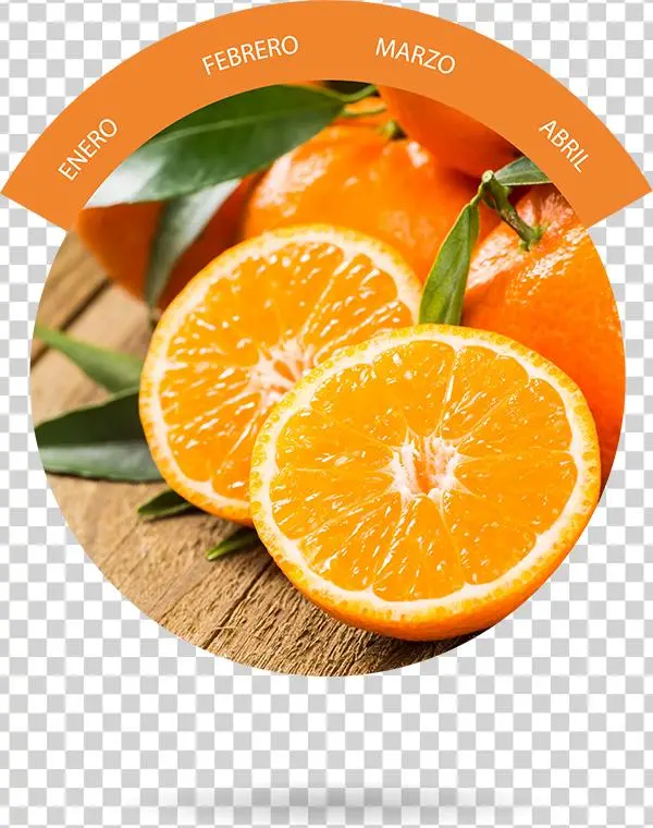 Naranja - みかんの皮パウダー (陳皮パウダー) 100g みかん/皮/陳皮/パウダー/粉末/花粉 【メール便】