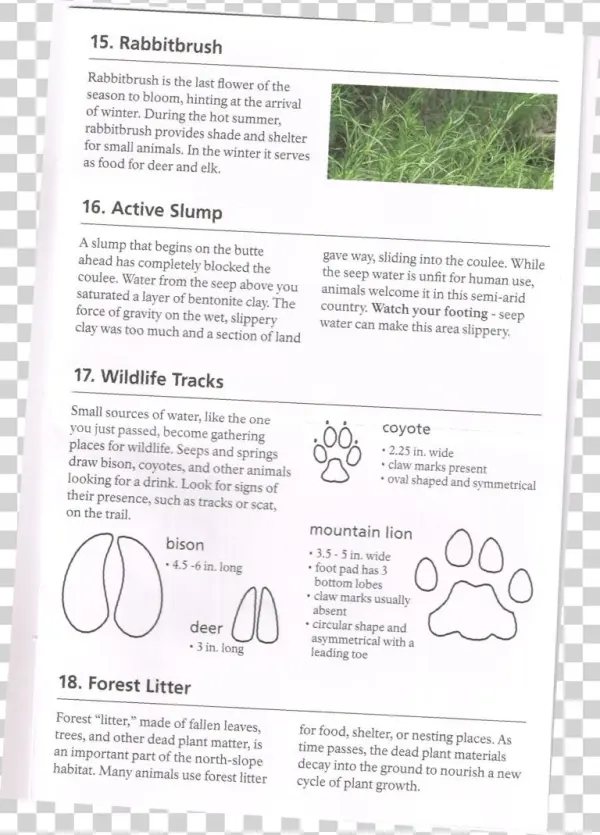 Picture1-768x1069 - Audi