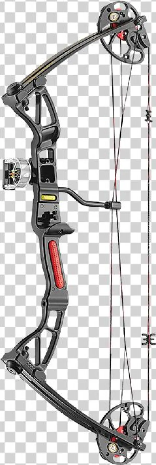 Png/rex Black - Ek Rex Black