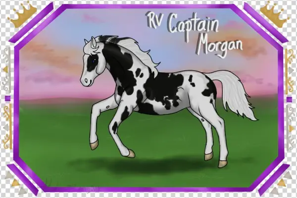 Rv Captain Morgan Barn Name - Mane