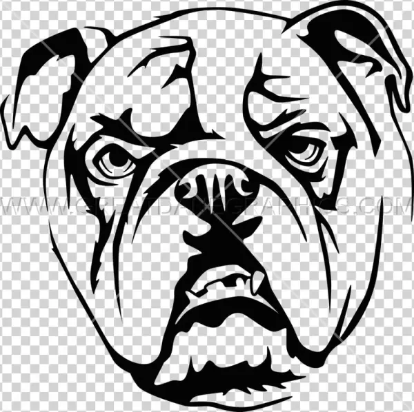 Tan Bulldog - Olde English Bulldogge