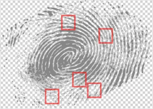 The Identity We Can't Change - Criminal