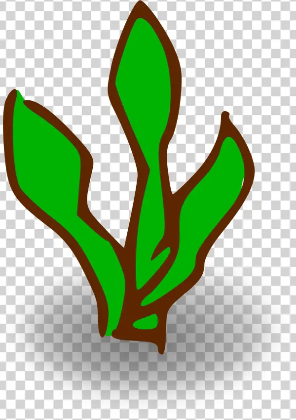 This Free Icons Png Design Of Kelp Forest
