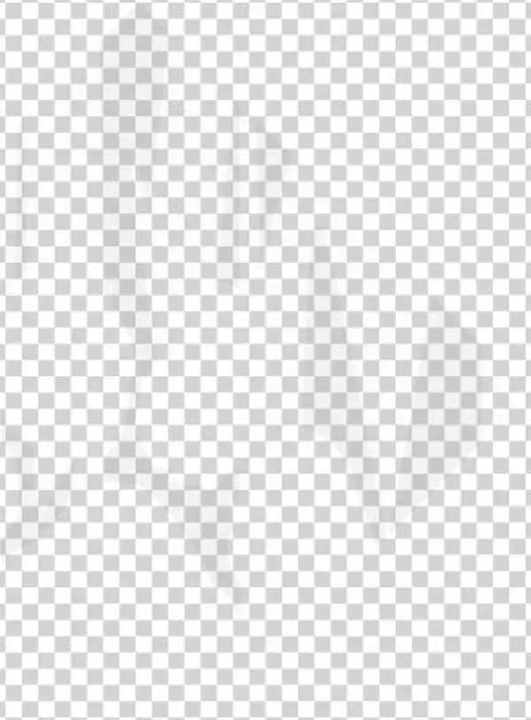 Tigerpaw Logo Back 2 - Tigerpaw Software