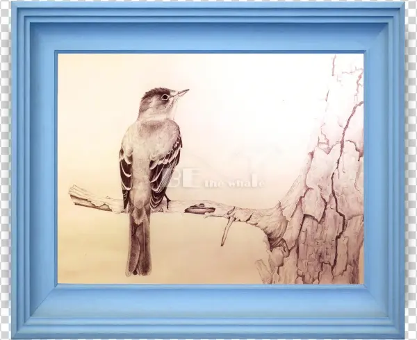 Utah Winner Brooks Jones, Herriman High School - Utah