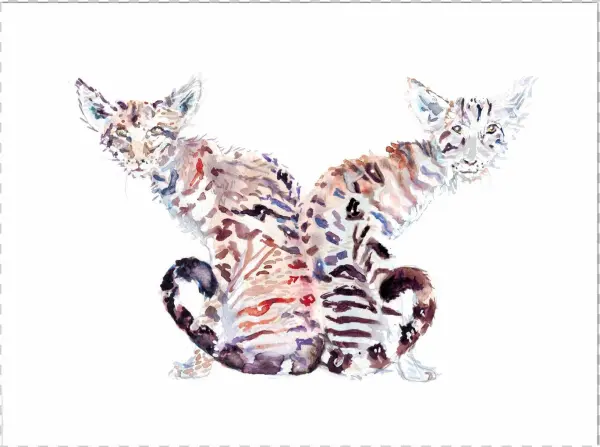 Watercolor Two Headed Cat - Sphynx