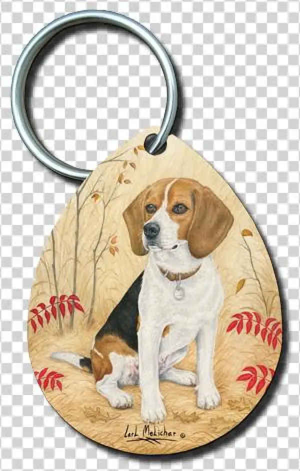 052 Beagle - Dog