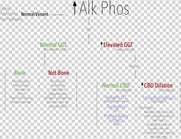 Alk Phos - Document