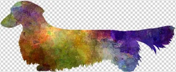 Bleed Area May Not Be Visible - Dachshund February Notebook Dachshund Record, Log,