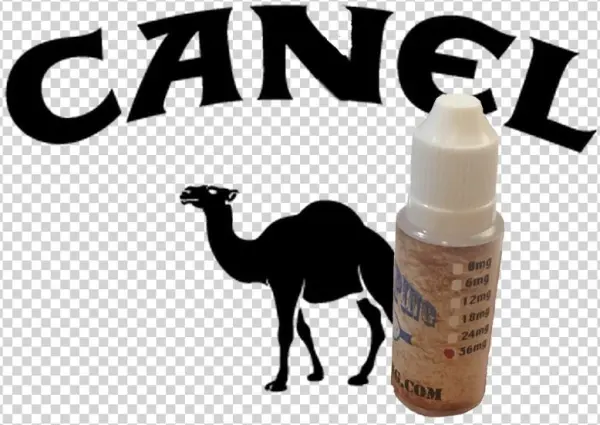 Canel Ejuice - Camel