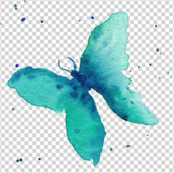 Categories - Papilio