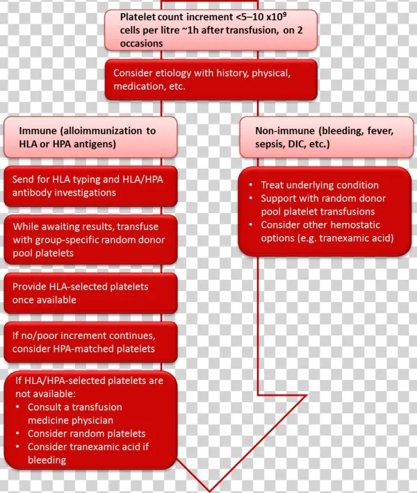 Cgtt Chapter 18 Figure - Orange