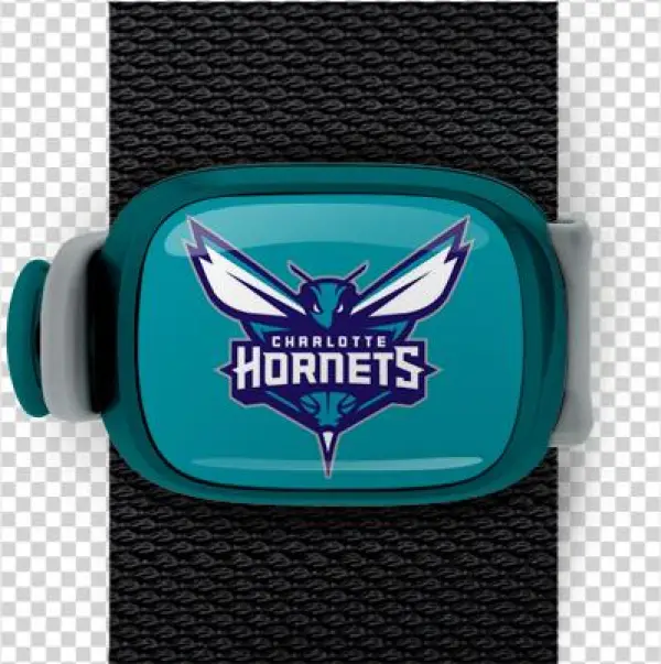 Charlotte Hornets Stwrap - Charlotte Hornets 12-in Cutout 1 Per Pkg ( 6 Pkgs Per