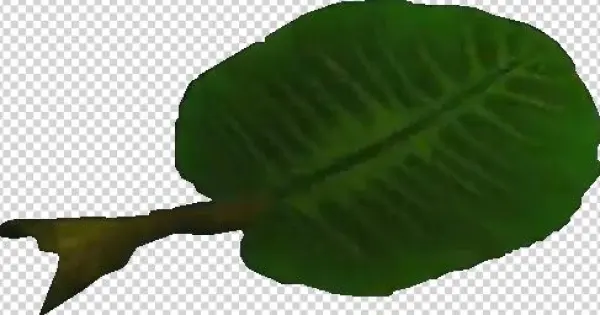 Crash Bandicoot Leaf - Angel Tube Station