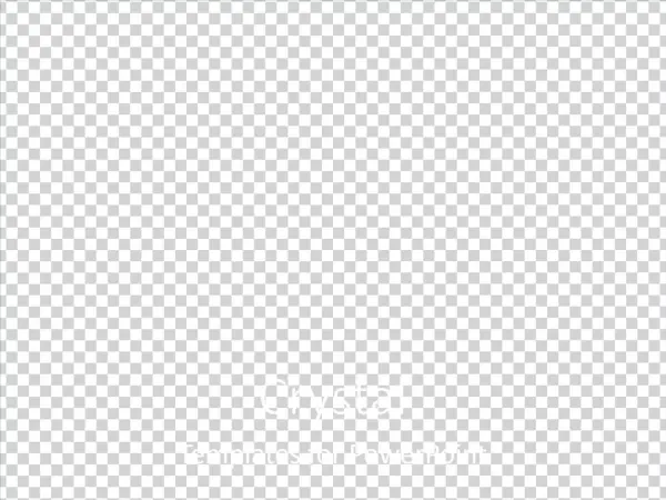 Custom Image Custom Image Custom Image - Parallel