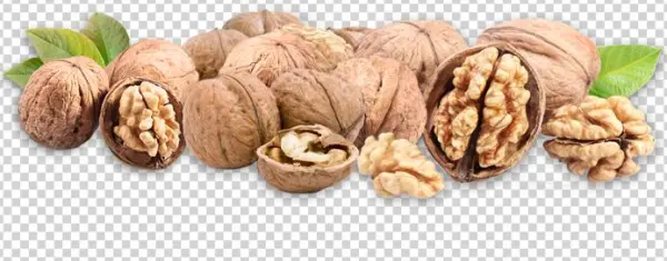 Download - Outdoor Plants Quality Walnut Seeds Fruit Tree Seeds