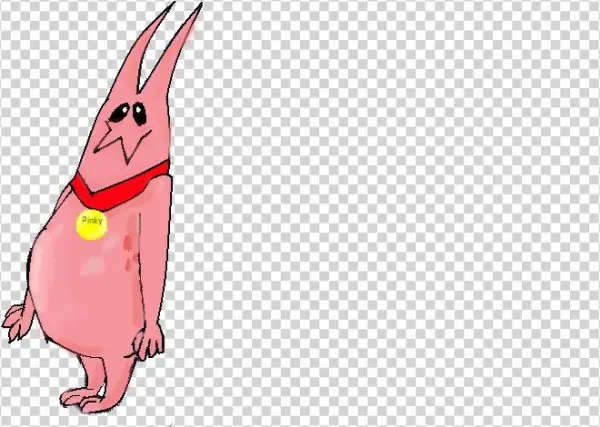 Fetus - Illustration