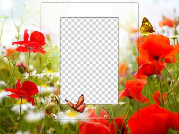Frame With Poppies - Canvas Wall Art Prints Red Flowers And White Daisies