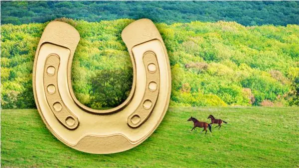 Golden Horseshoe, Cit Coin Invest Trust Ag / B - Gold
