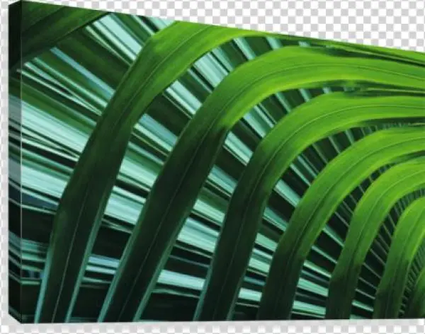 Hawaii, Palm Frond Close-up In Tropical Botanical Gardens - Great Big Canvas Greg Vaughn Poster Print Entitled