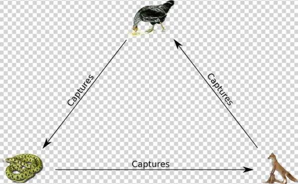 How Do We Relate It To Rock Paper Scissors - Chicken