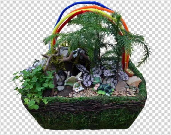 Leprechaun Fairy Garden Workshop - Sageretia Theezans