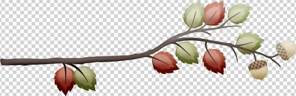 Photo By @selmabuenoaltran - Illustration