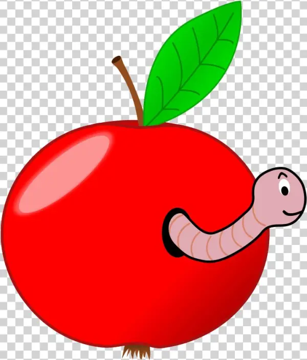 Red Apple With A Worm Png Images