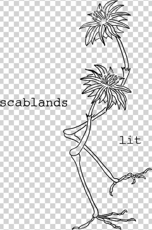 Scablands Lit - Book