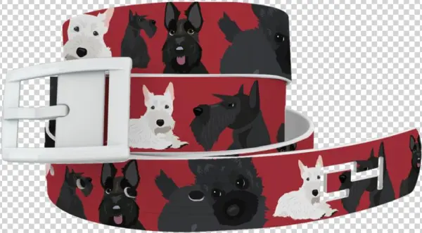 Tap To Expand - Belt