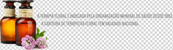 Terapia-floral - Zum Richtigen Duft By Markus Schirner