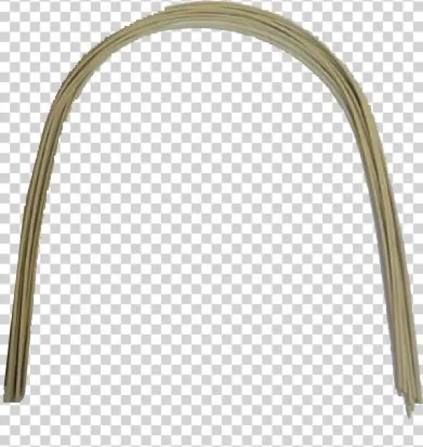 These Wires Are Coated Stainless Steel Or Coated Niti - Arch