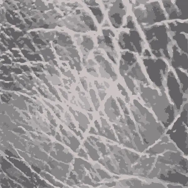 This Free Icons Png Design Of Textures From Beijing