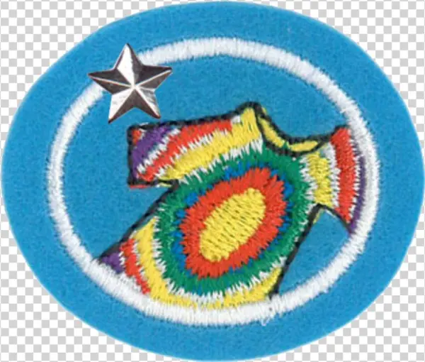 Tie-dye Advanced - Willow Pattern