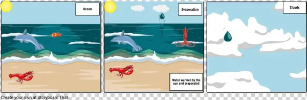 Water Cycle - Cartoon