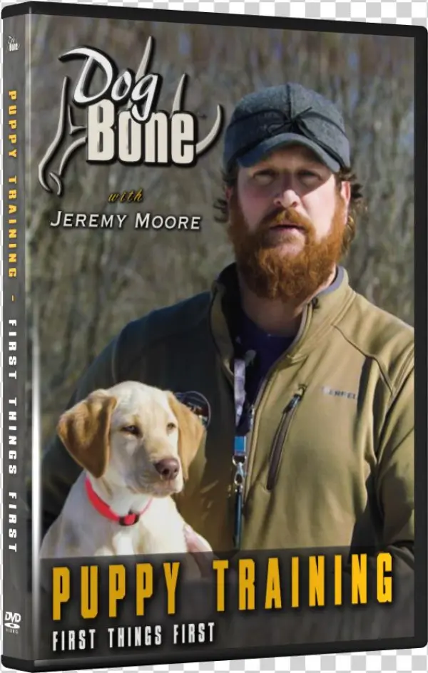 07 Puppy Dvd Front Transparent - Beagle