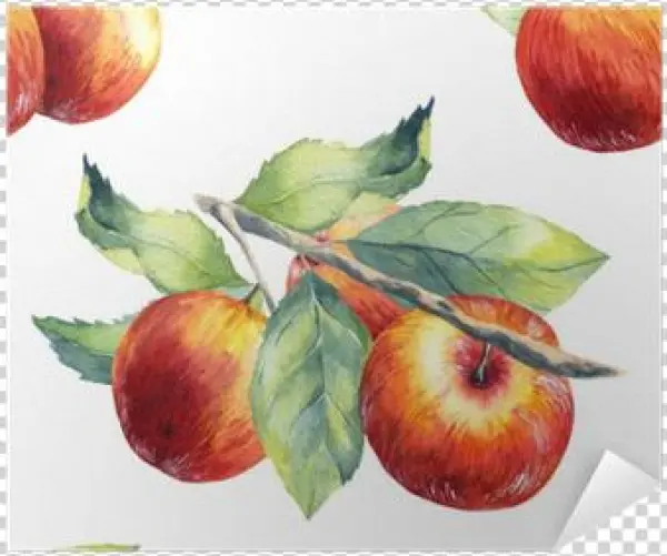 A Seamless Apple Branch Pattern On White Background - Mcintosh