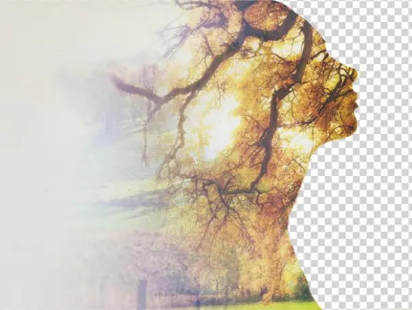 Awakened By Chris Mac 9781523497898 (paperback)