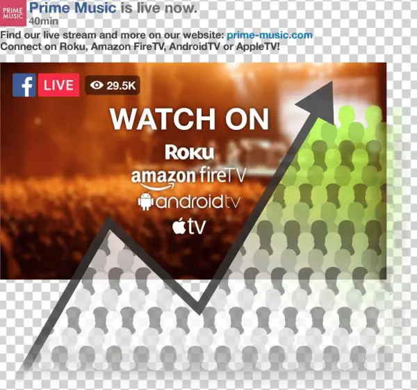 Build Your Viewership Where You Can Convert And Monetize - Roku