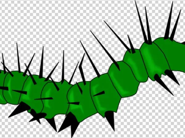 Caterpillar Gusano (color: Dark Heather, Fit Type: