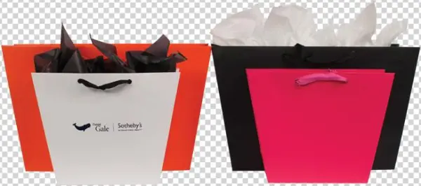 Color Trapezoid Eurototes - Paper