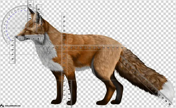 Fox Domestication And Pet Ownership